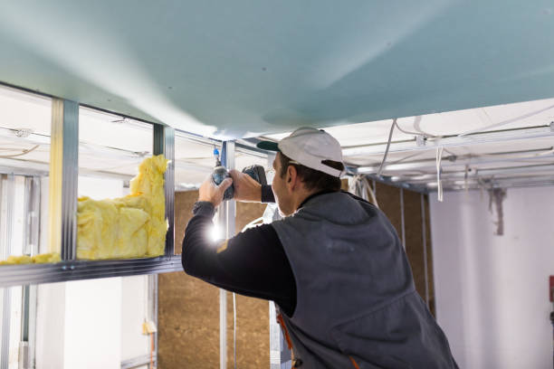 Best Insulation for New Construction  in Denver, NC